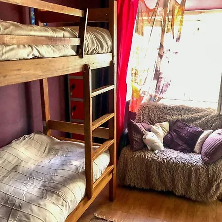 Buddha Bee - 18 To 35 Years Old Only