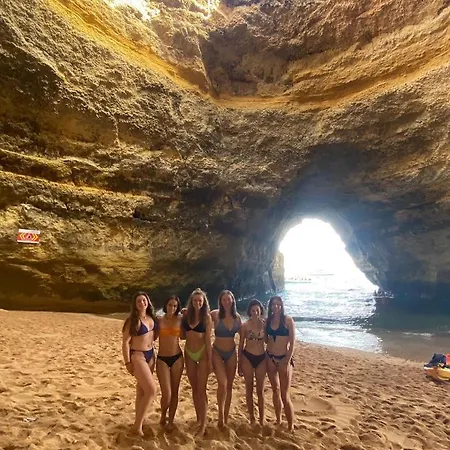 Buddha Bee - 18 To 35 Years Old Only