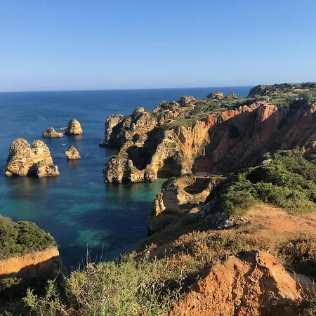 Buddha Bee - 18 To 35 Years Old Only *