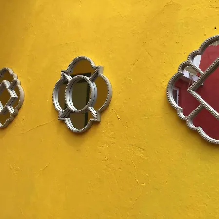 Buddha Bee - 18 To 35 Years Old Only Albergue