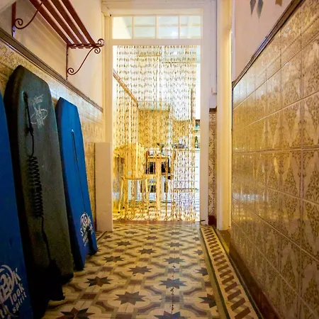 Buddha Bee - 18 To 35 Years Old Only *