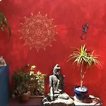 Buddha Bee - 18 To 35 Years Old Only *