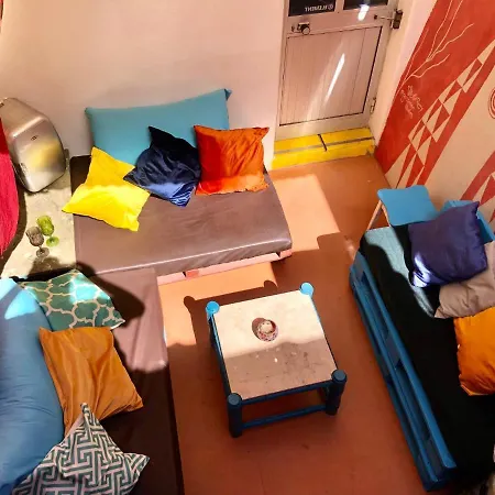 Buddha Bee - 18 To 35 Years Old Only