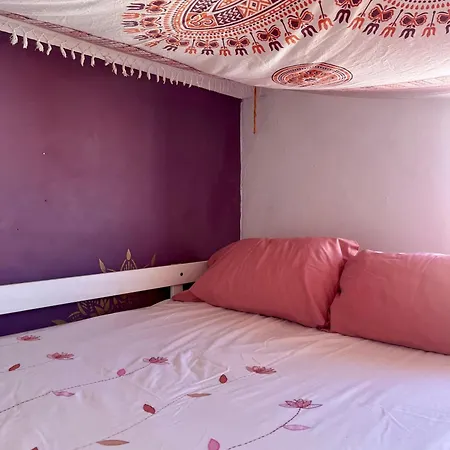 Buddha Bee - Female Hostel *