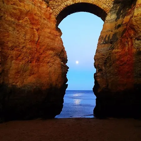 Hostel Buddha Bee - 18 To 35 Years Old Only *