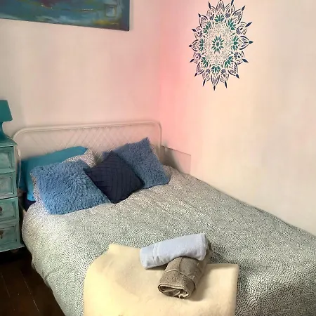 Buddha Bee - 18 To 35 Years Old Only